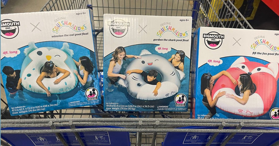 12 Best New at Sam’s Club Products (Cheeky Cream, Pineapple Plants, Pool Floats, & More!)