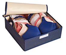 Load image into Gallery viewer, Best seller  topline goods spark premium set of 3 foldable covered drawer organizer closet organizer for socks bras for women underwear baby clothes belts scarves blue